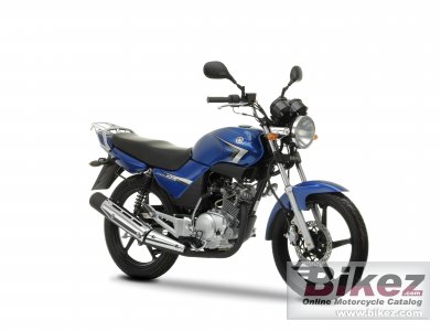 2009 Yamaha YBR125 photo
